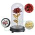 24K Gold Plating Rose  in a Glass  with LED Light